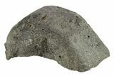 Chelyabinsk Meteorite ( g) - Witnessed Fall #263522-1